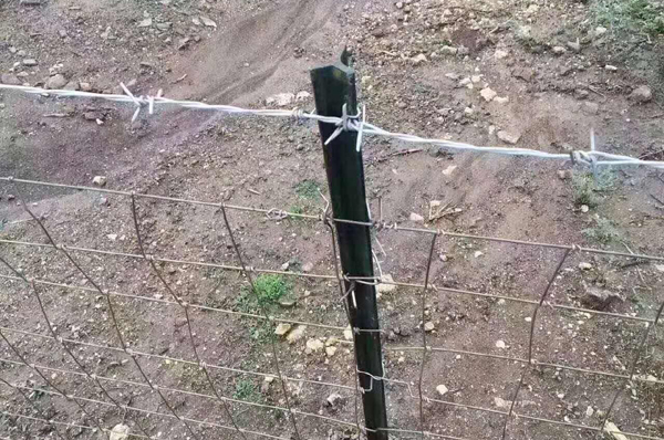 南京护栏网
